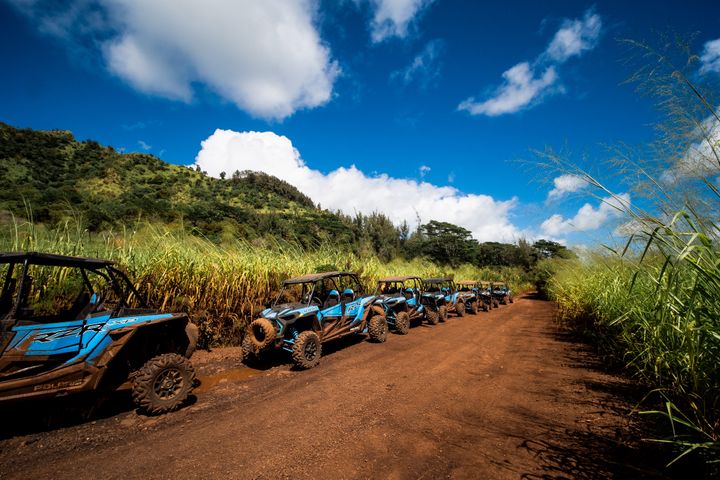 RZR-Buggys in Reih und Glied