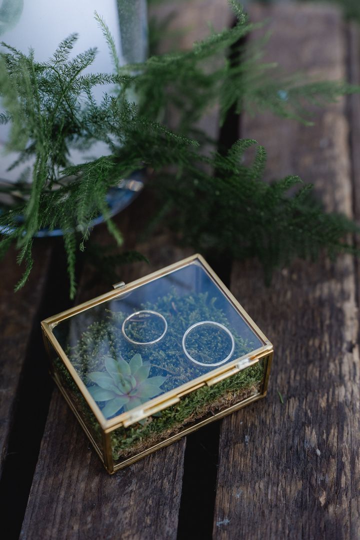 Ringe in der Glasschatulle