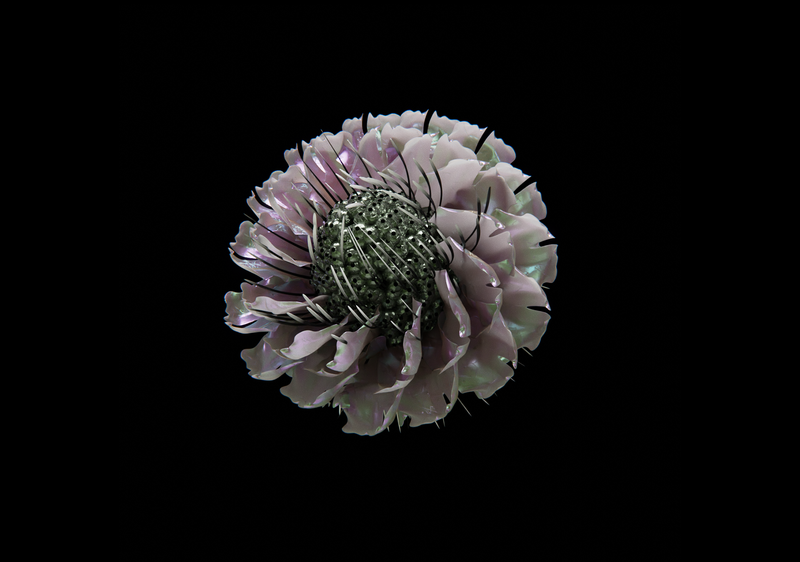 Metahive