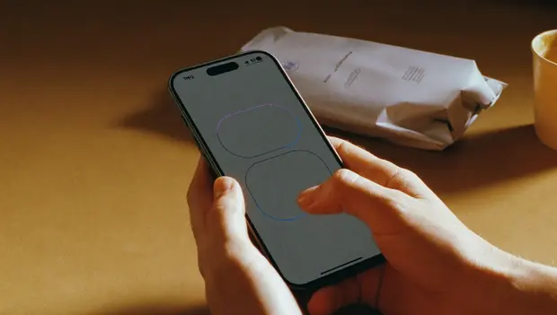 Shopper completing a purchase on a phone at home