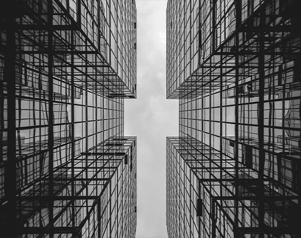 Leadership & Organisation Assessment