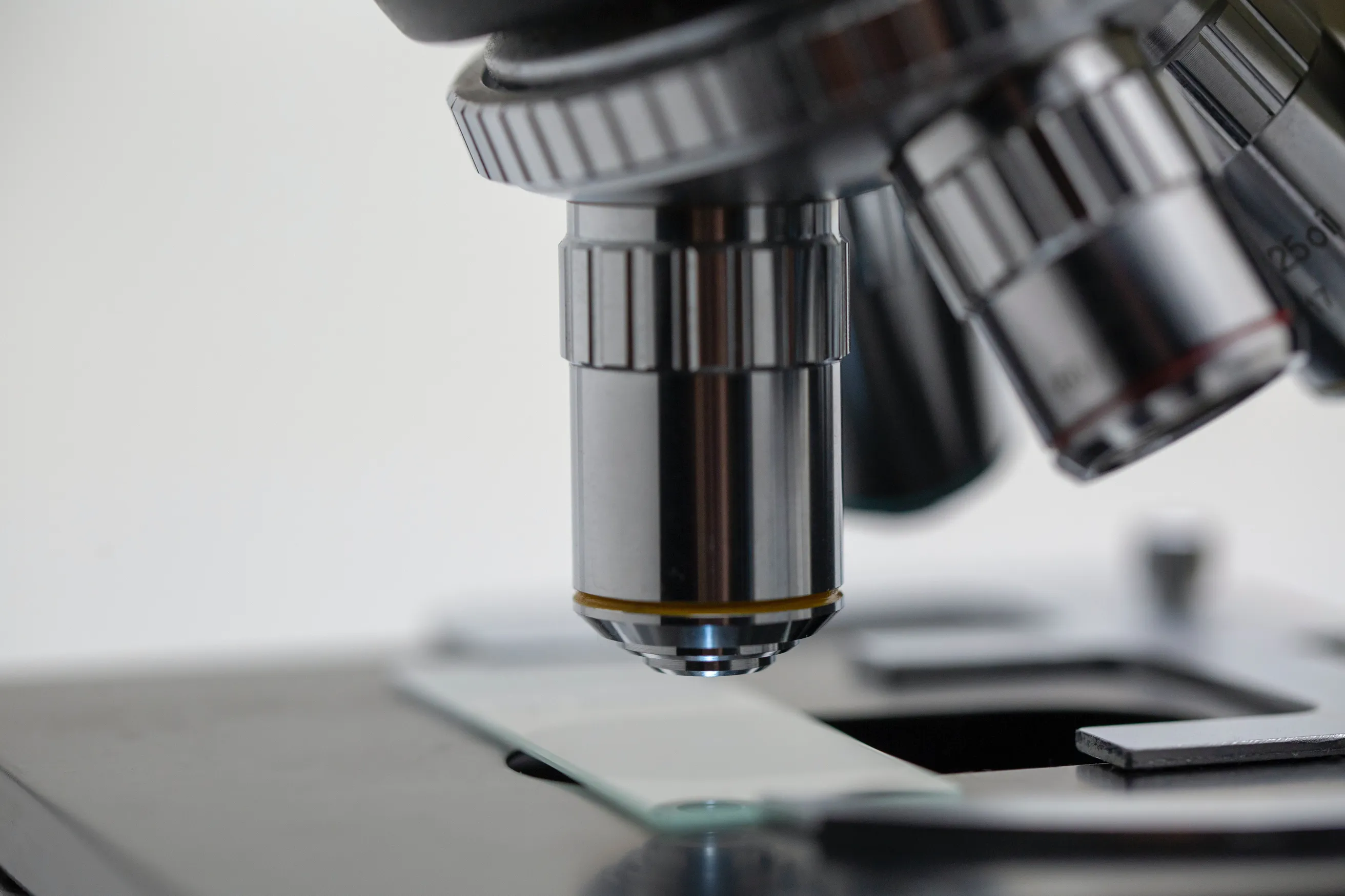 Building the Commercial Leadership Team of a Clinical-Stage Biotech