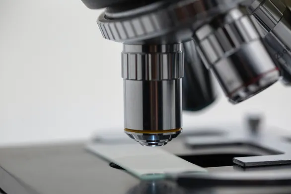 Building the Commercial Leadership Team of a Clinical-Stage Biotech