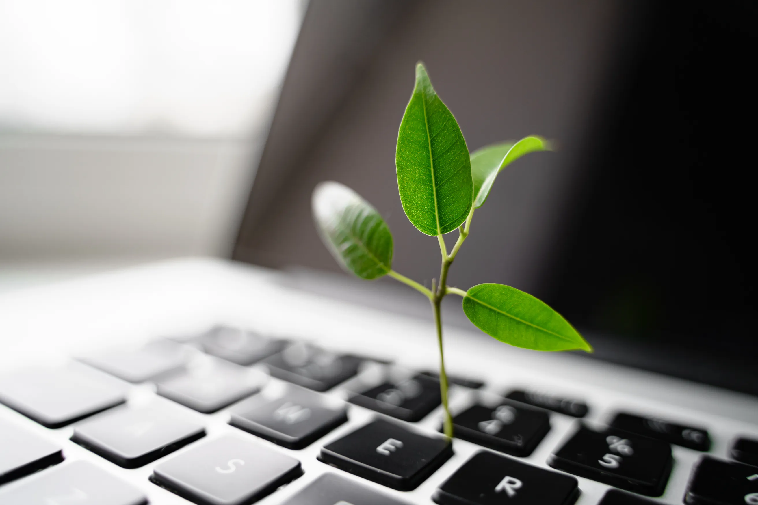 2025 in review: Venari Partners' Sustainability & Energy Transition practice