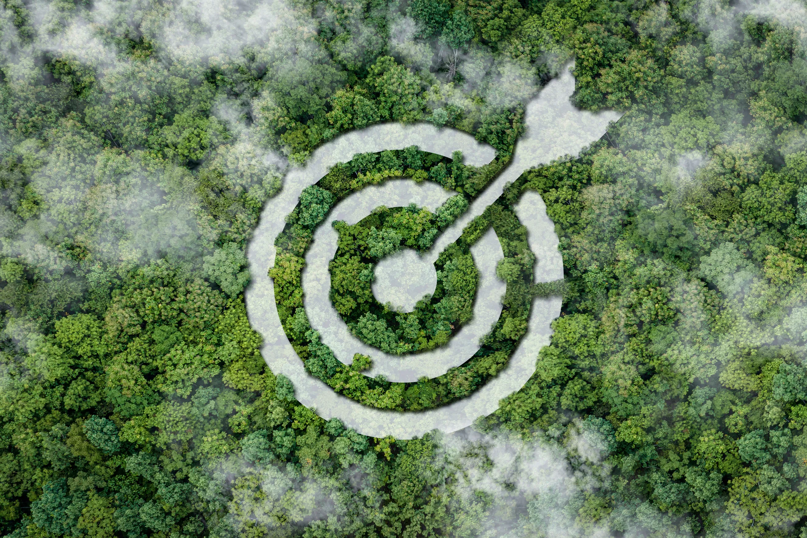 Sustainability Leadership Outlook 2025: Navigating Challenges & Opportunities