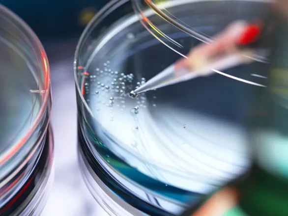 Case Study: European Biotech's Business Development Team Expansion