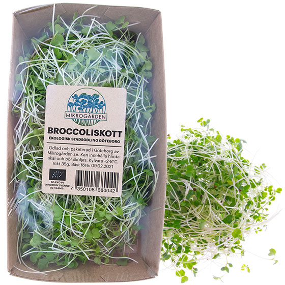 Broccoliskott