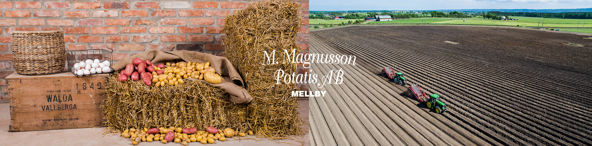 Magnus Magnusson Potatis