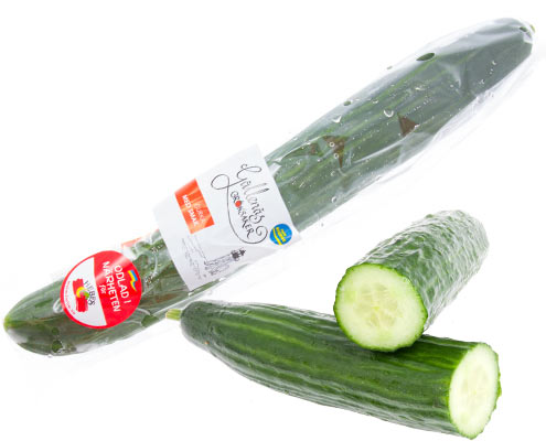 Extra smakrik slanggurka