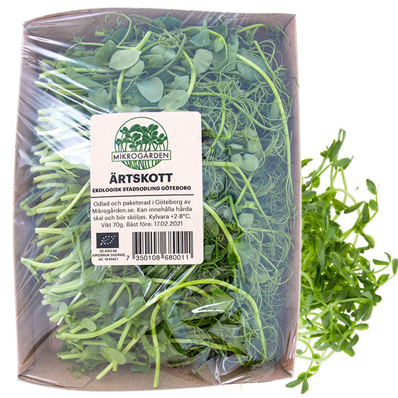 Ärtskott