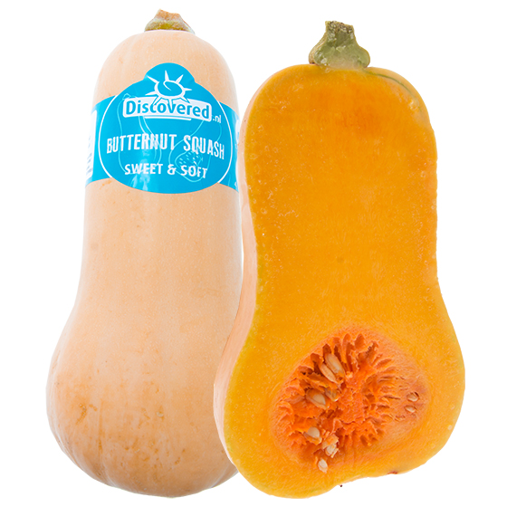 Butternutpumpa