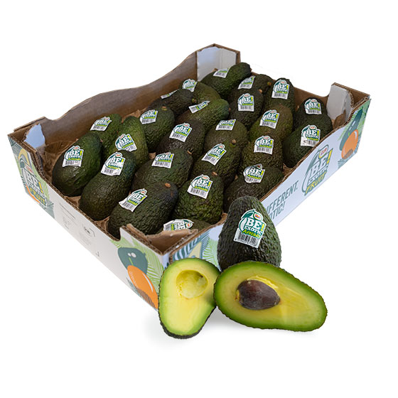 24st avokado