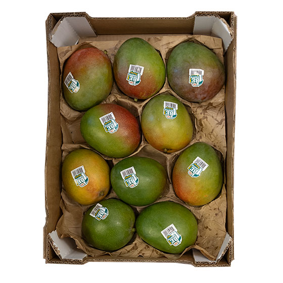 10st mango