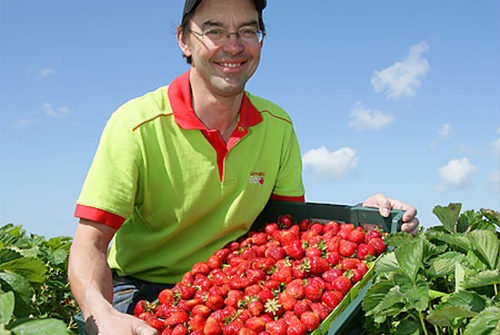 Från odlingen