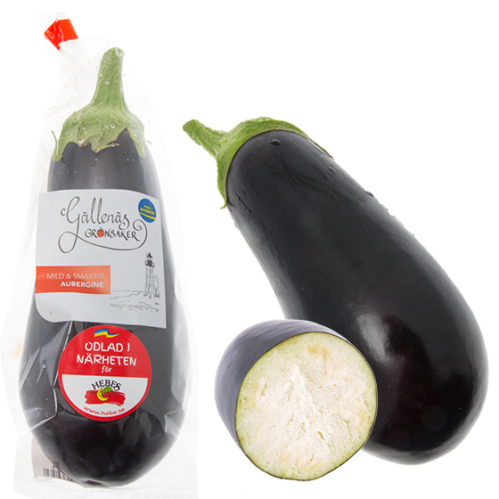 Aubergine