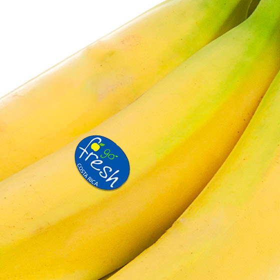 GoFresh Premium