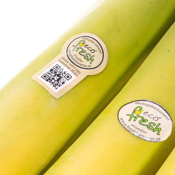 Ecofresh Eko