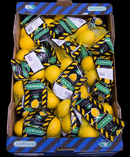Citroner 500g nät