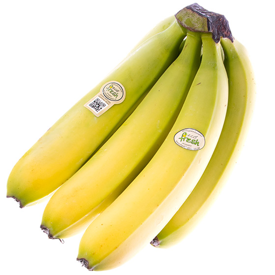 Ecofresh Eko
