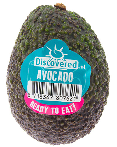 Avokado