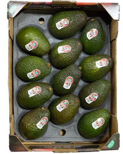 Jumbo 12 st