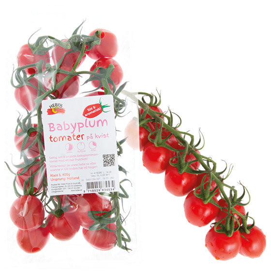 Baby plum-tomater på kvist