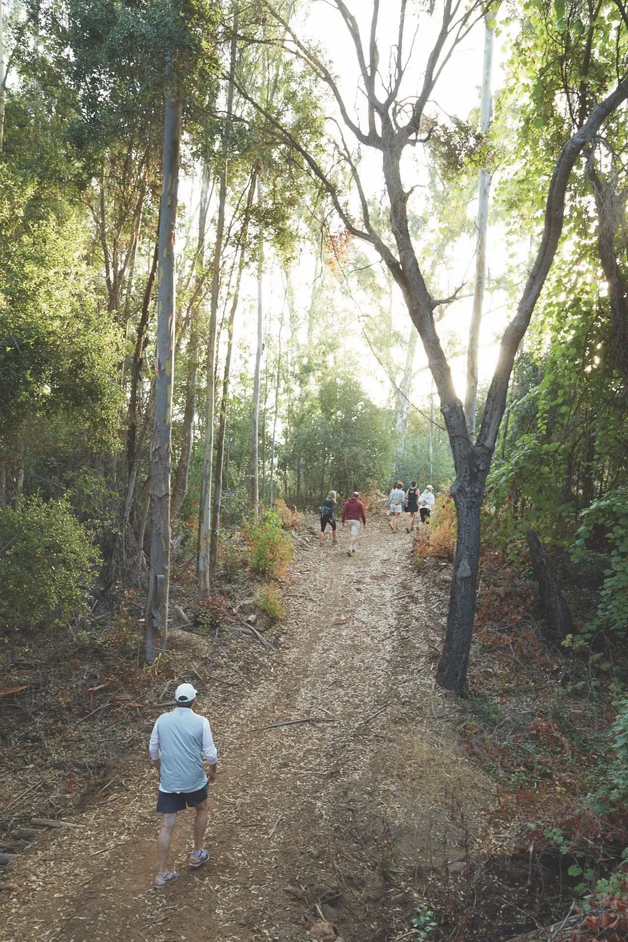 Guests on the Cal-a-Vie morning hike, walking the vineyard trails through the coastal hills in the early light