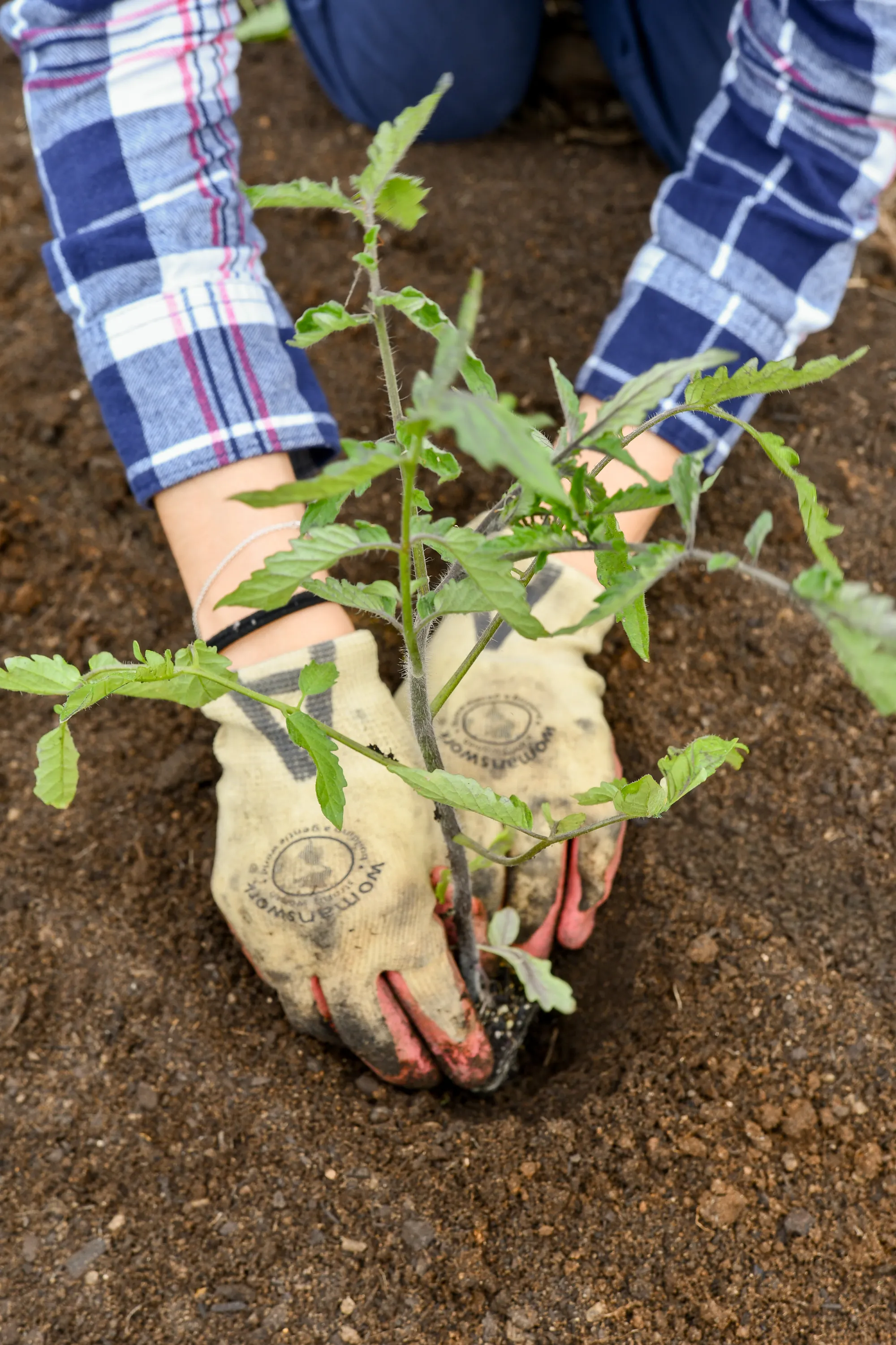 Sustainability at Cal-a-Vie Health Spa