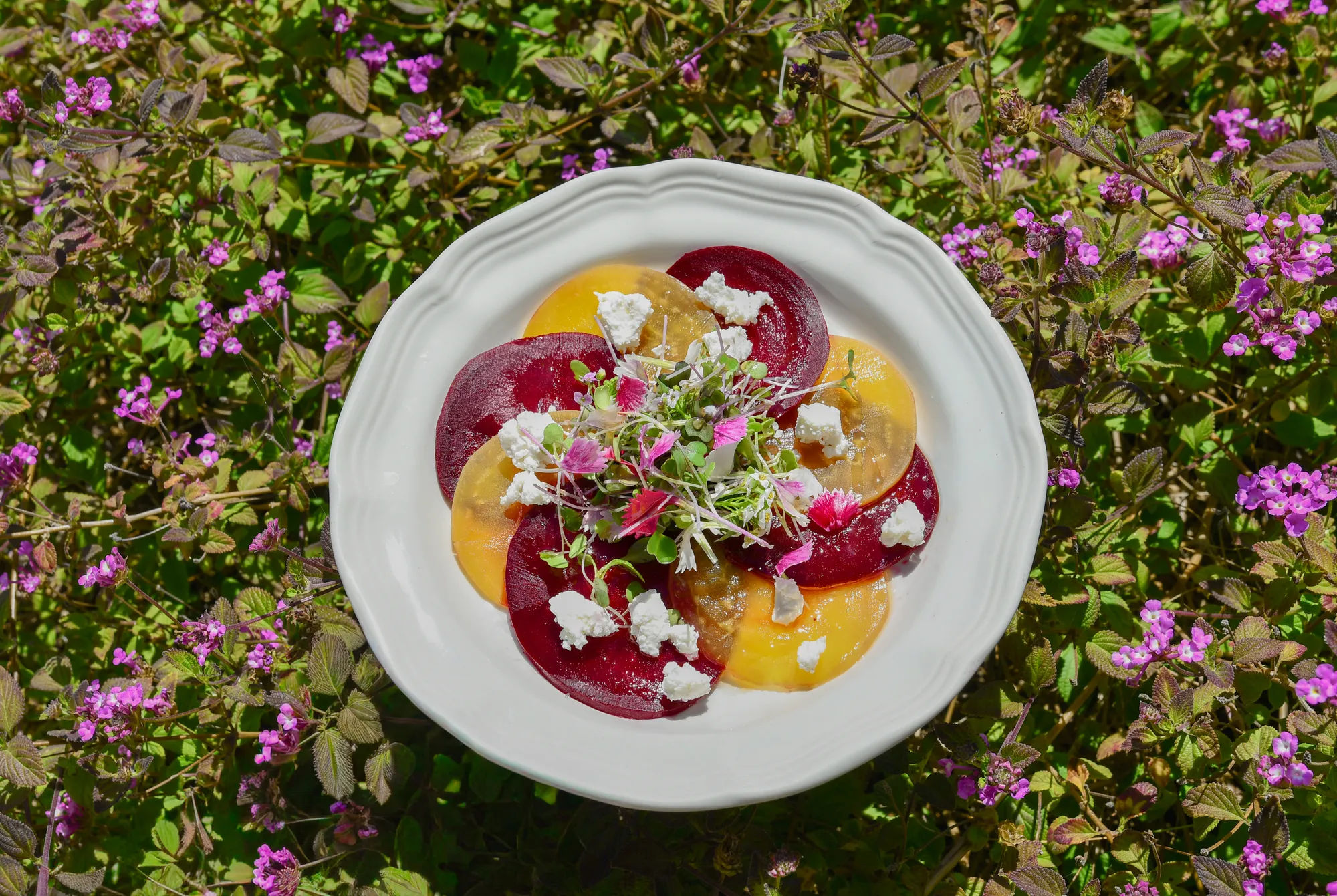 Roasted Beet Carpaccio with Goat Cheese & Chili Oil