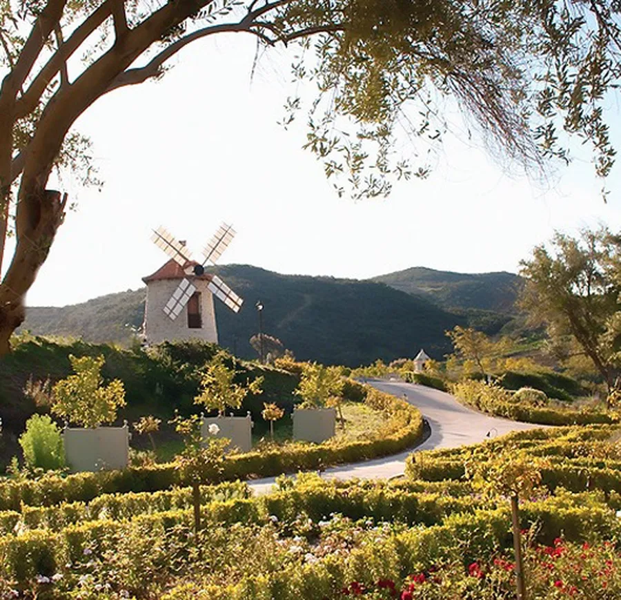 A Tranquil Start to 2020
