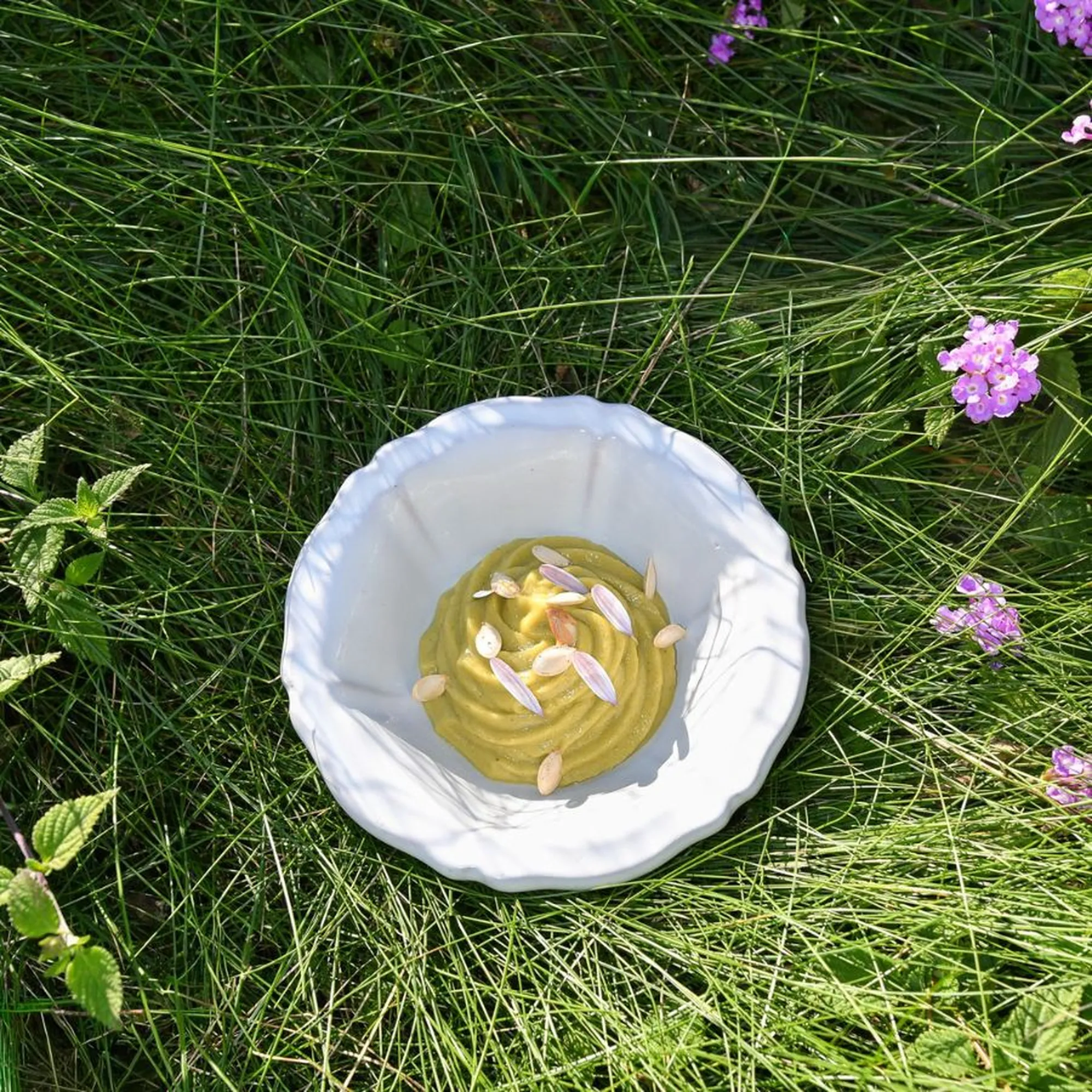 a plate of pumpkin mousse in the grass