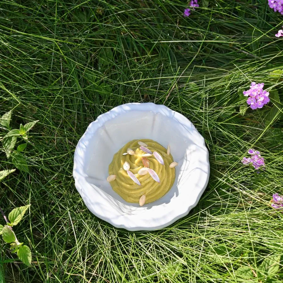 a plate of pumpkin mousse in the grass