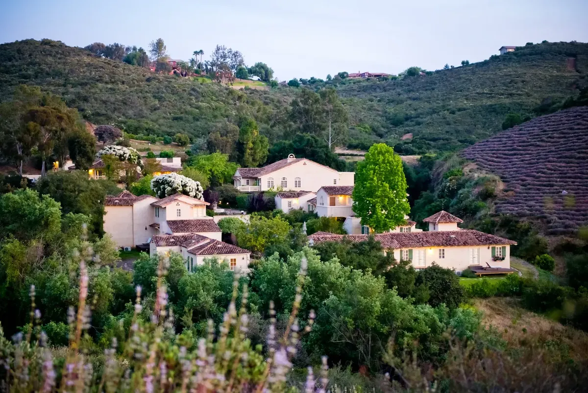 The villas and lavender hillside at Cal-a-Vie Health Spa