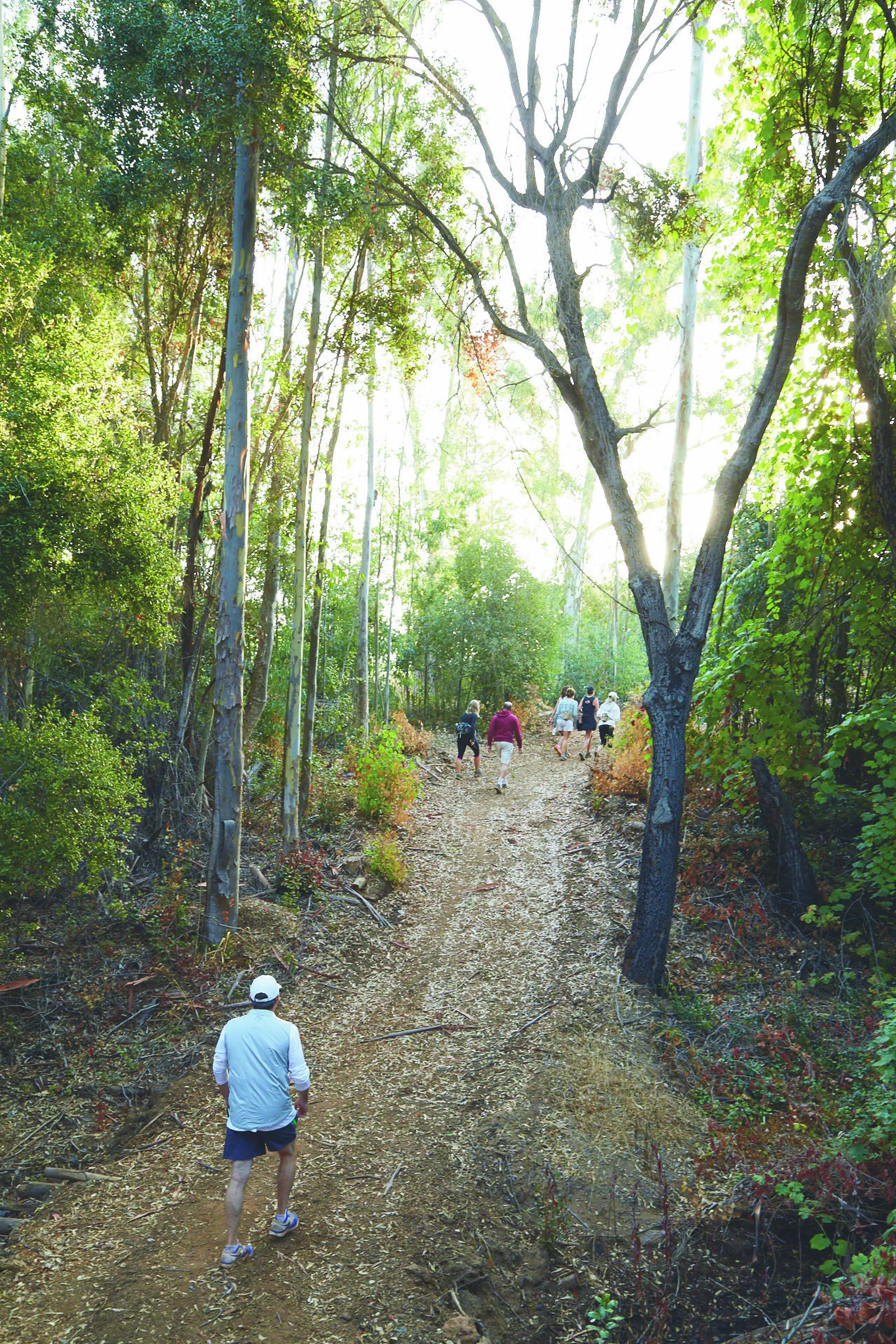Guests on a morning hike