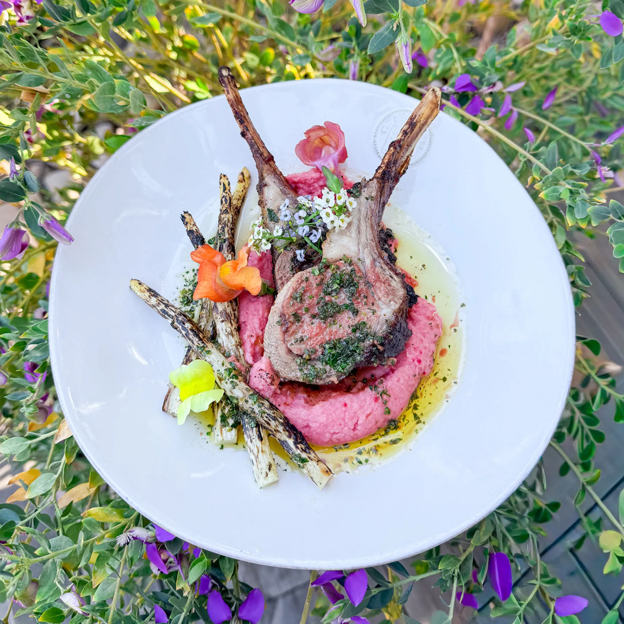 Roasted rack of lamb with beet and parsnip purée