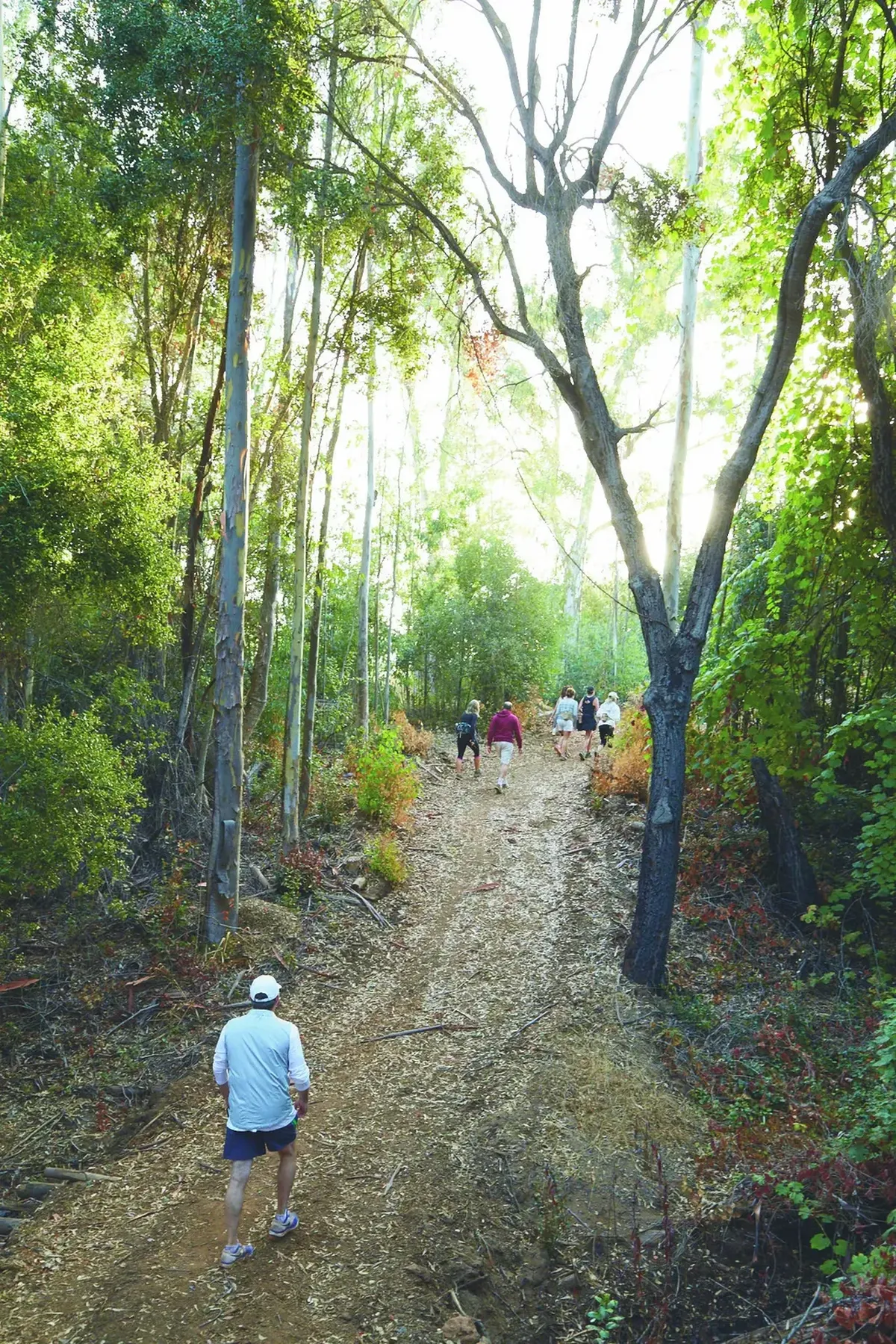 Guests hiking the private hillside trails at Cal-a-Vie Health Spa