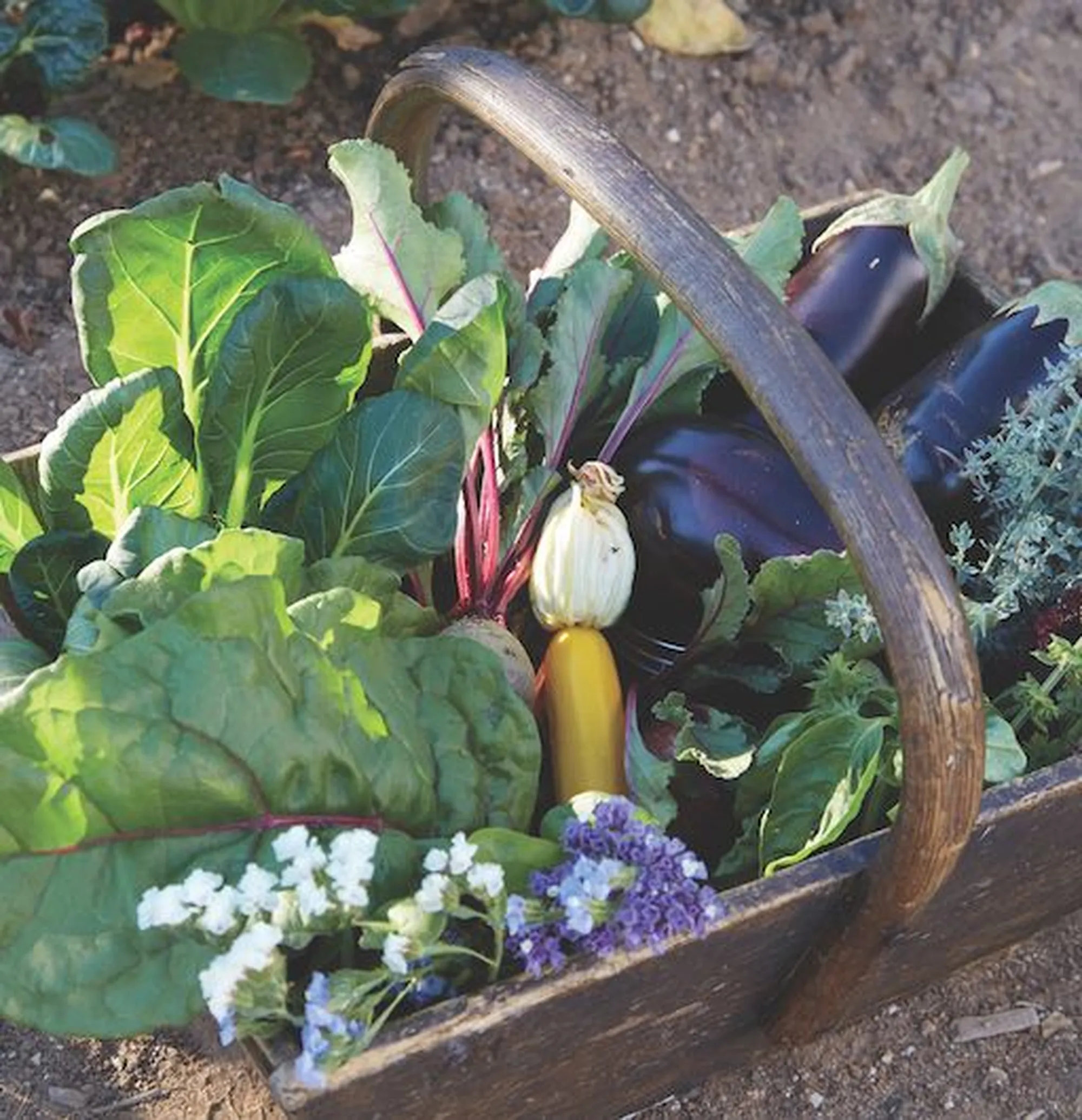 Unexpected Ways to Enhance Digestion