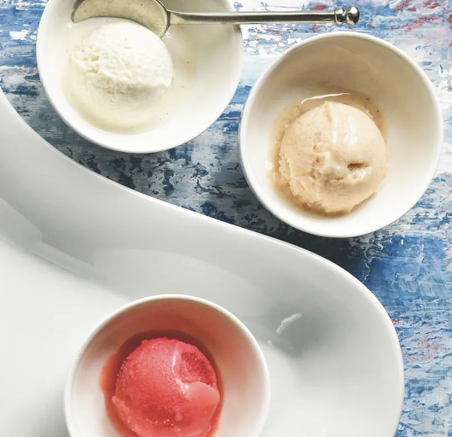 Coconut Vanilla Bean Ice Cream Recipe