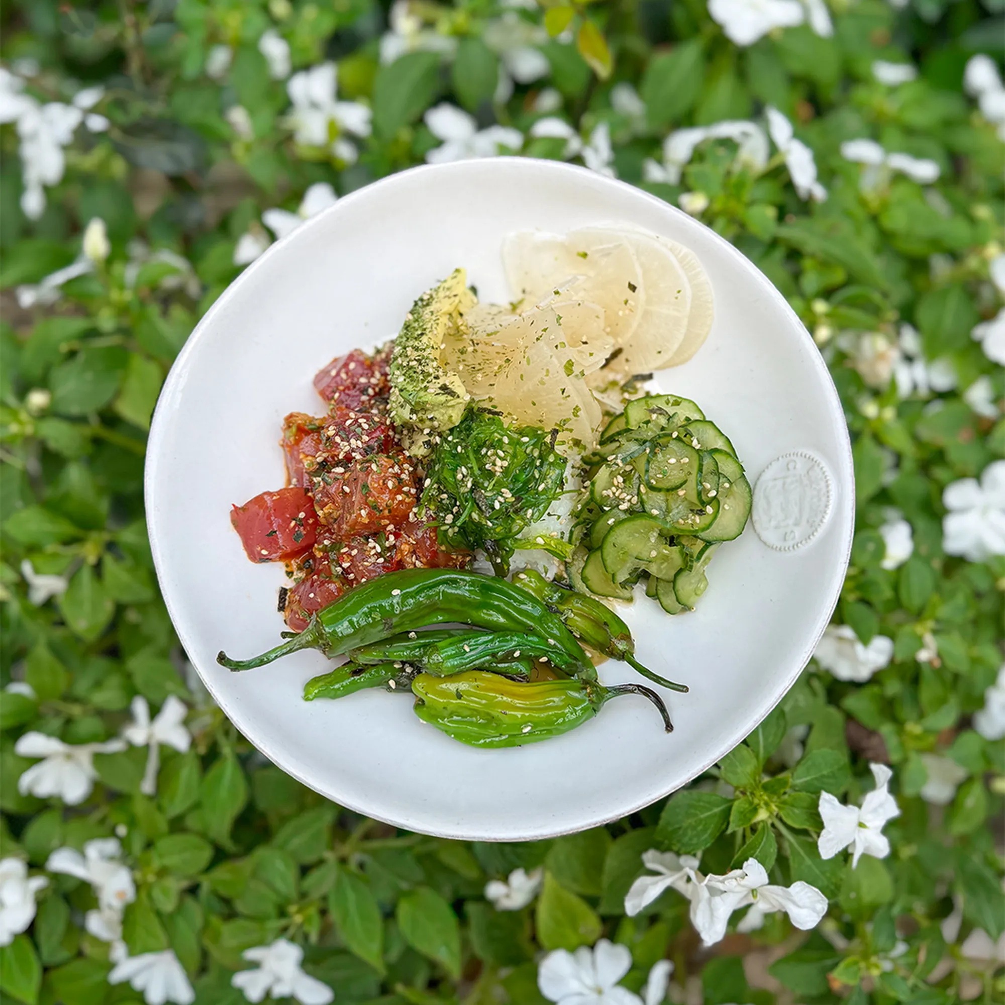 a plate of food on a plant