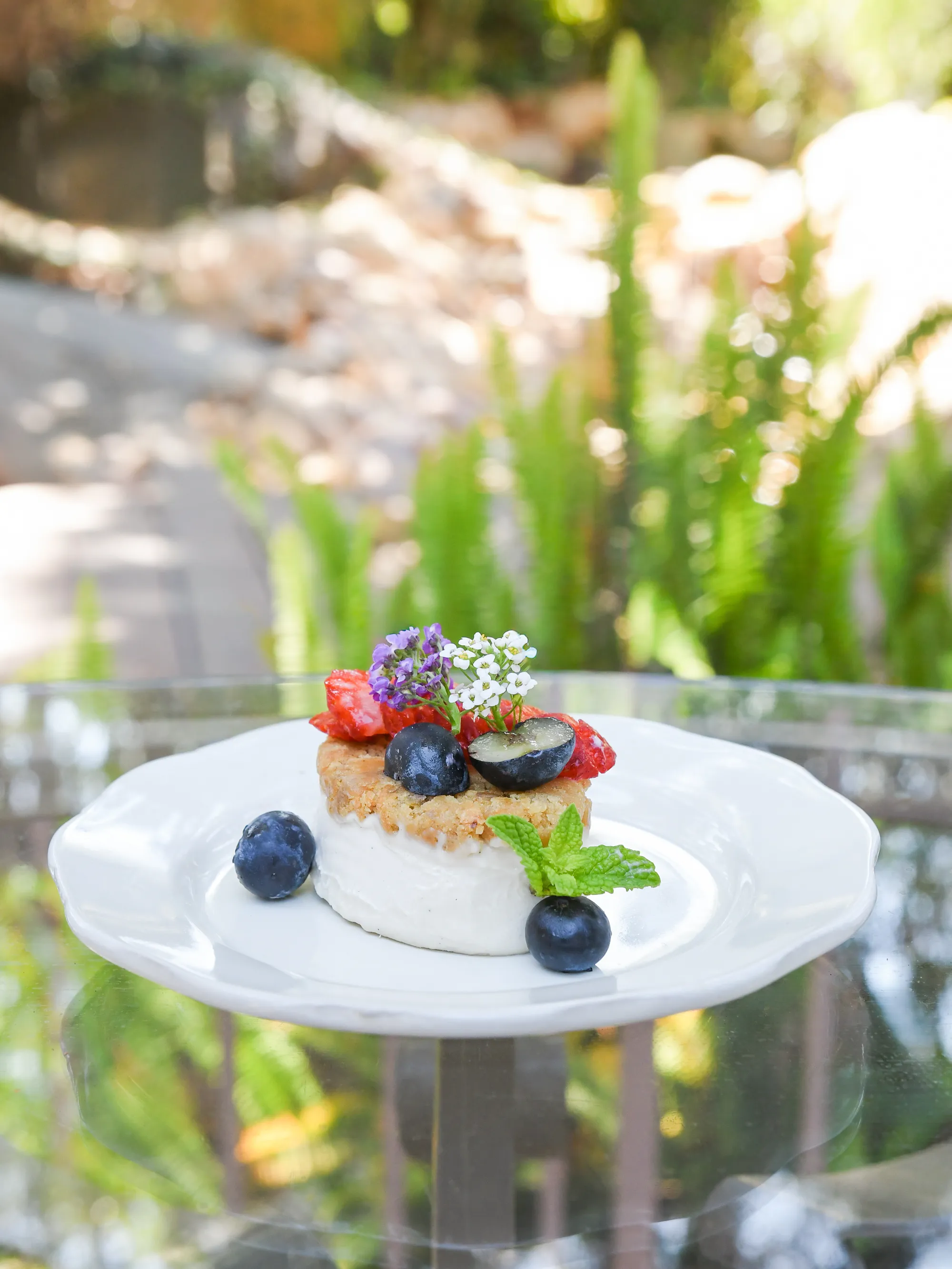 Raw Vegan Cashew Cheesecake Recipe