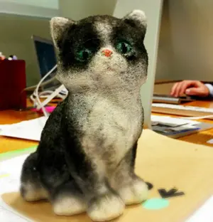 CF Cat joins the team