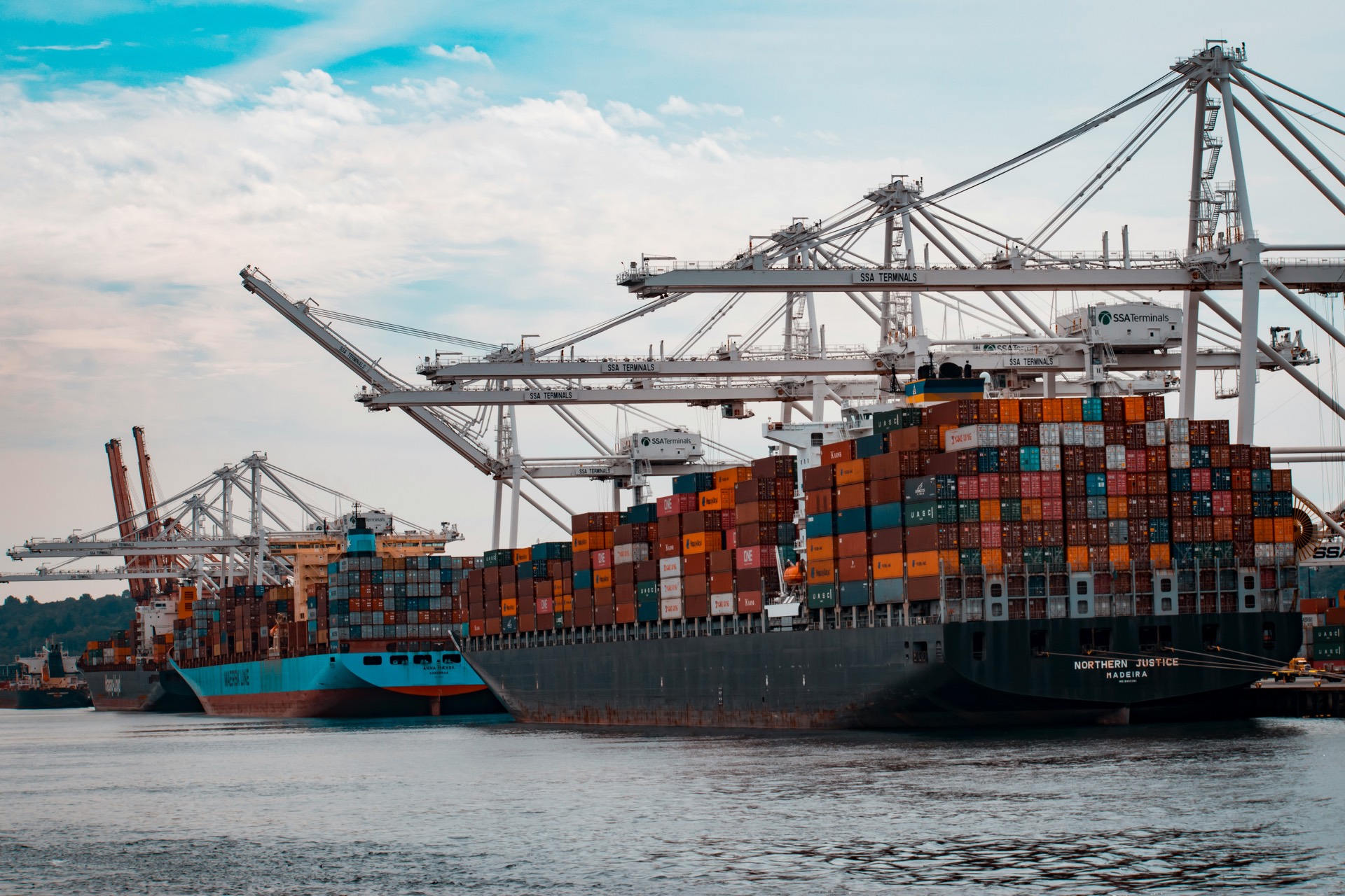 Container ships being loaded by gantry cranes at a busy port terminal.