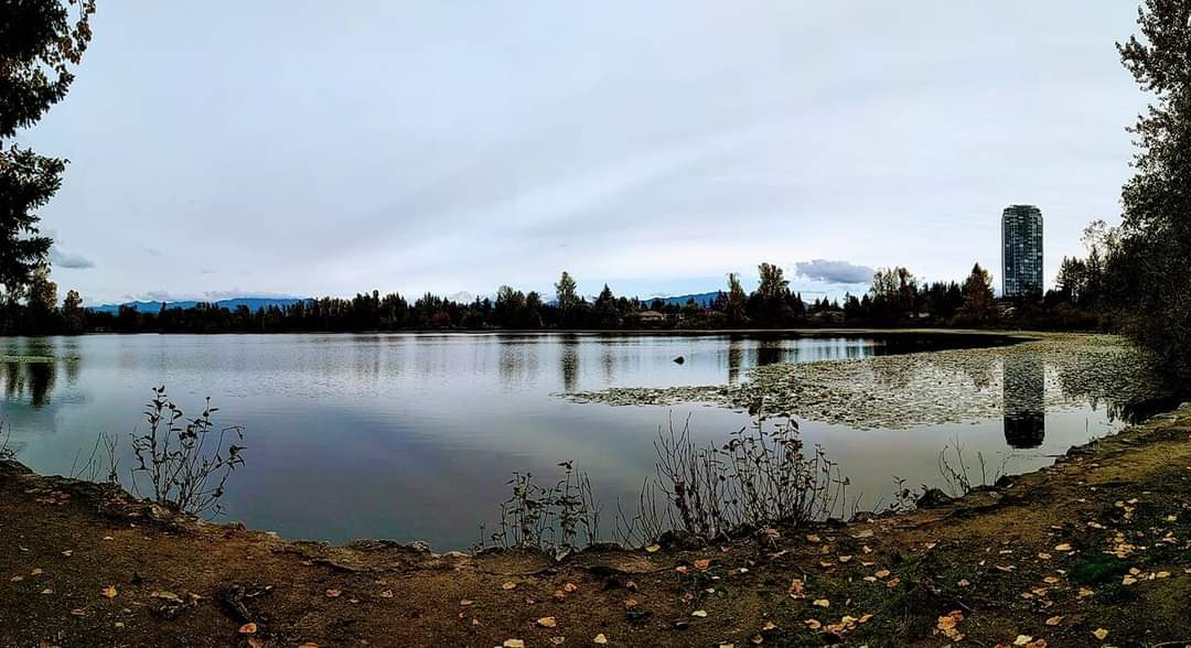 Abbotsford