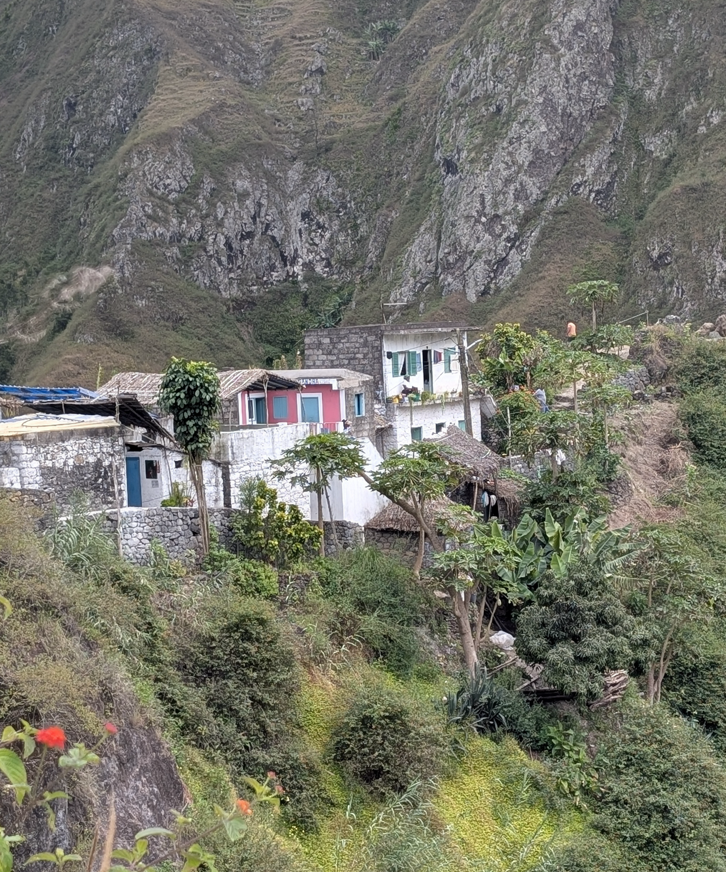 valle de paul Sandra