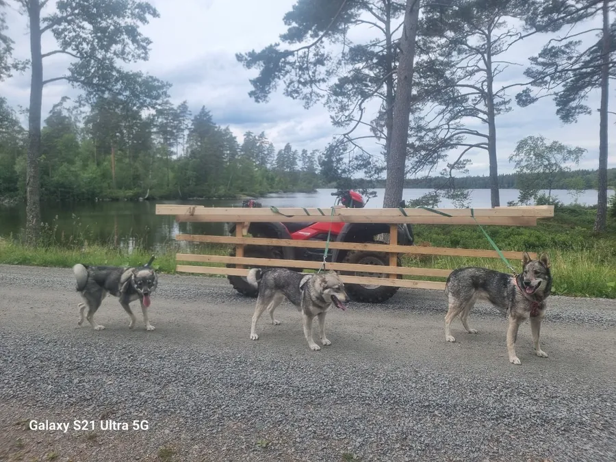 September jakt i Jämtland  bild 2