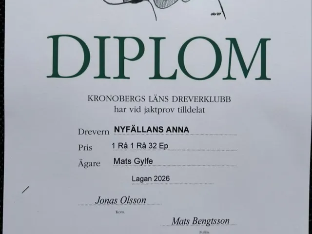 Stolta 🥰