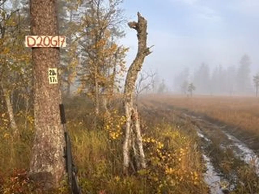 Älgjakt i Jämtland bild 2