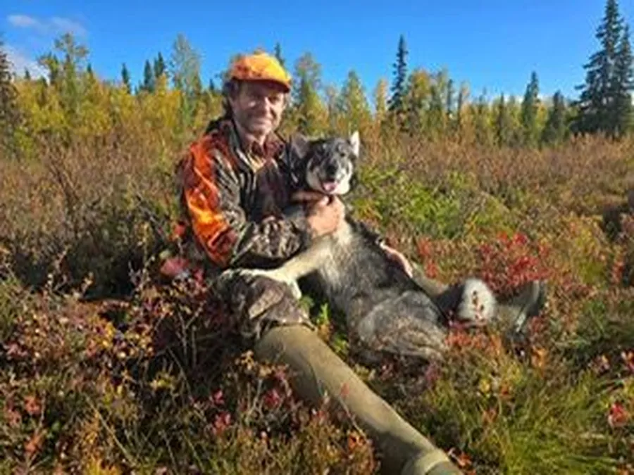 Älgjakt i Jämtland bild 1