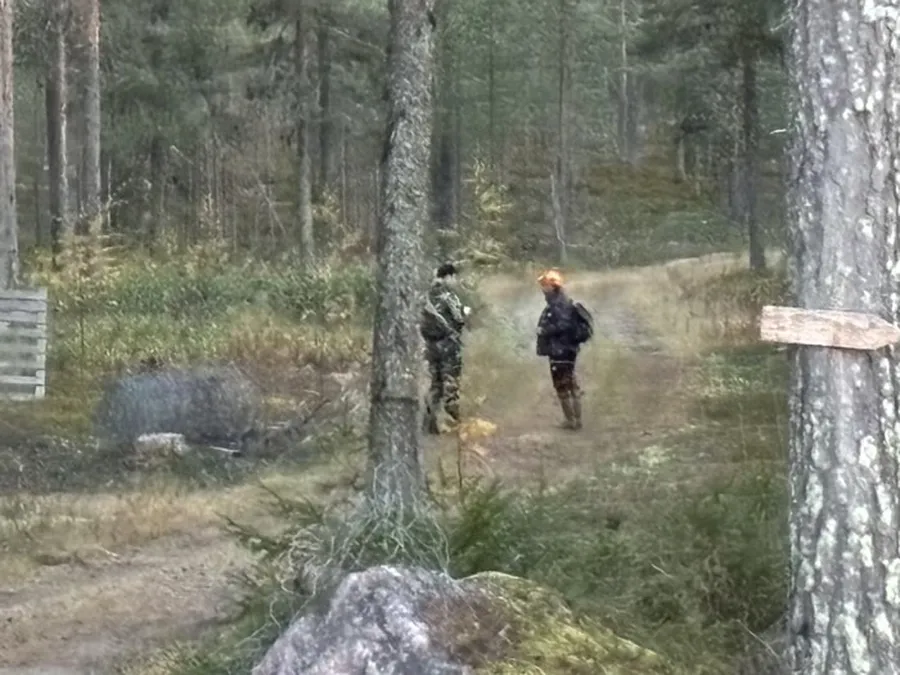 Jämthund mästerskapet 2024 i Kalix bild 3