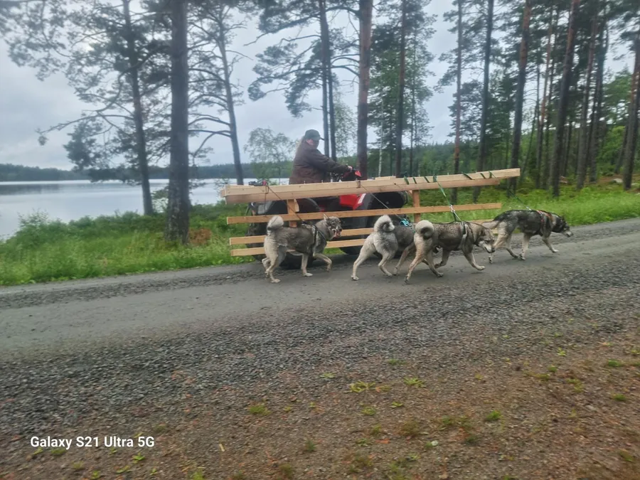 September jakt i Jämtland  bild 3